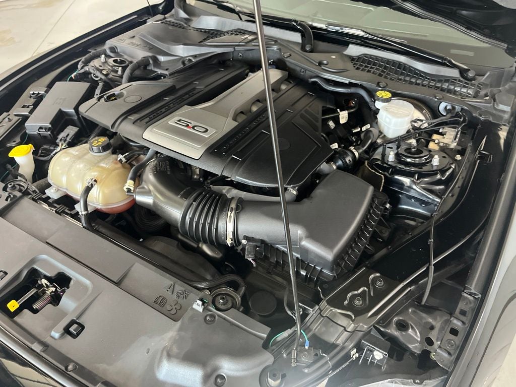 2019 Ford Mustang GT