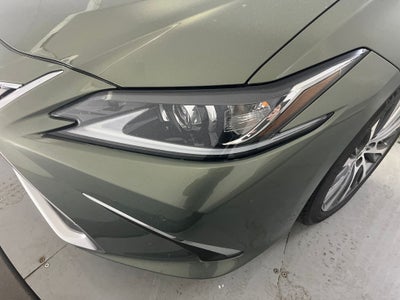 2019 Lexus ES 350