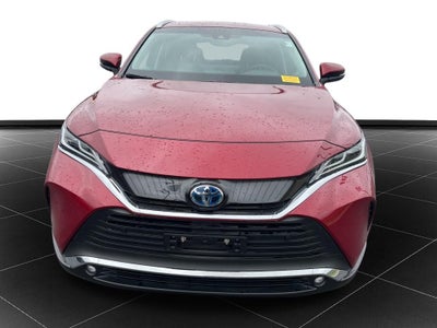 2024 Toyota Venza XLE